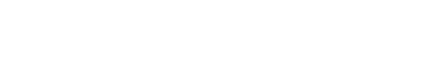 Artemis Data Consulting
